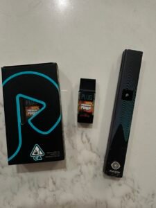 Plug Play Paradise Punch