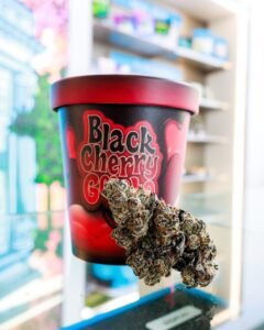 Cookies black cherry gelato