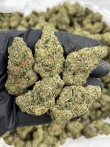 zour cookies strain​