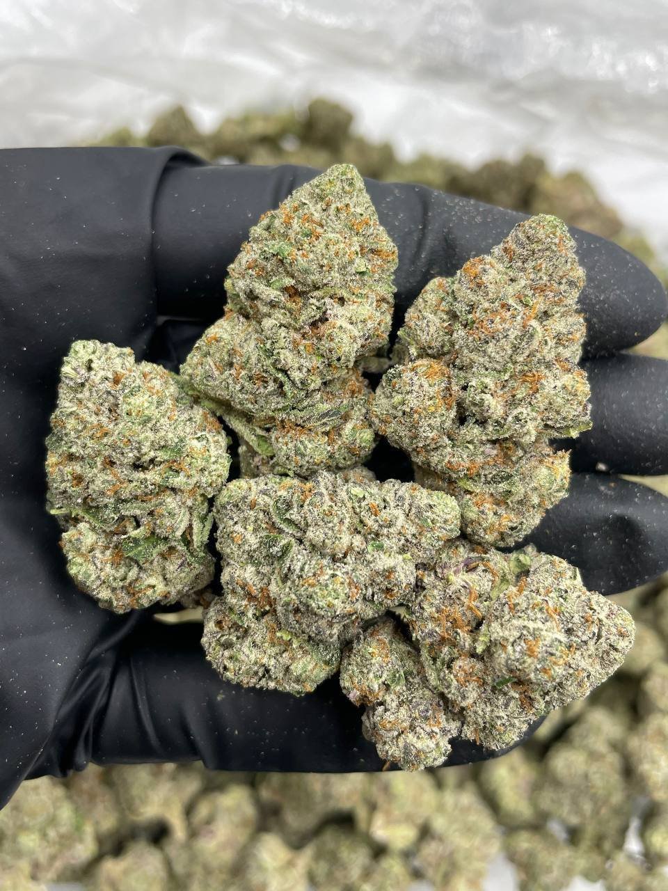 caramel cookie dough strain caramel cookie dough strain