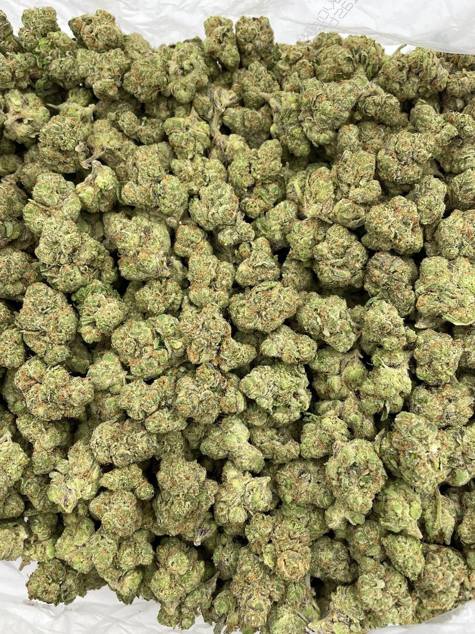 unicorn cupcakes strain unicorn cupcakes strain