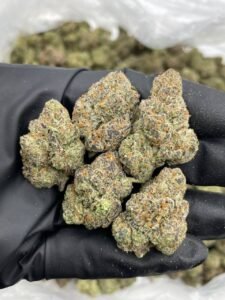 blue candy lemon strain​