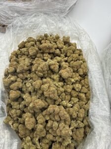 juicy gelato strain​