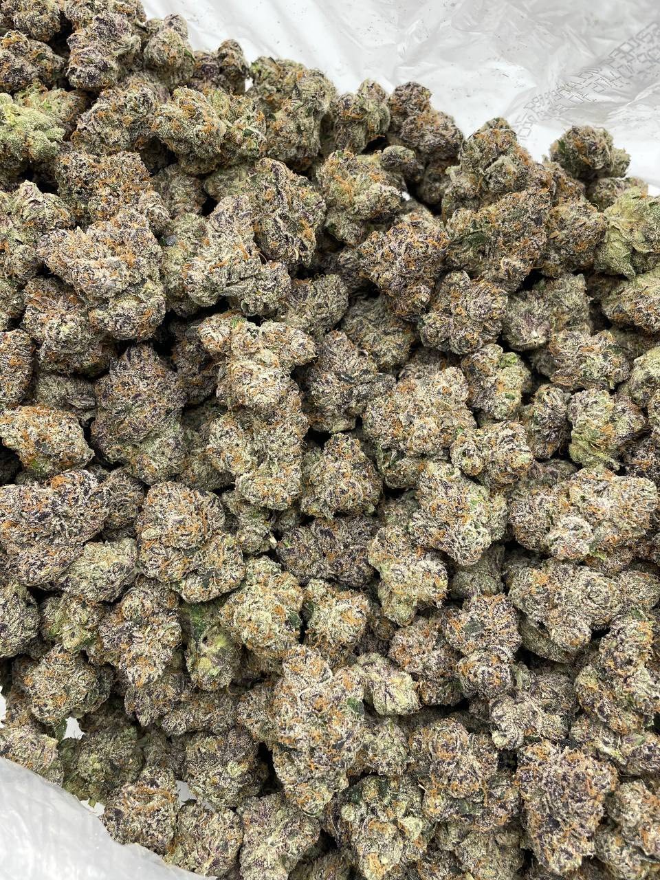 cherry bomb strain cherry bomb strain