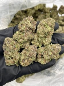 elmers glue strain​