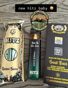 hits 2g disposable limited series