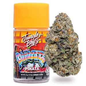 jungle boys jars & bags