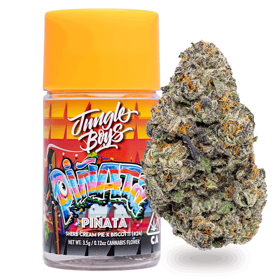 jungle boys jars & bags jungle boys jars & bags