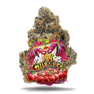 jungle boys jars & bags
